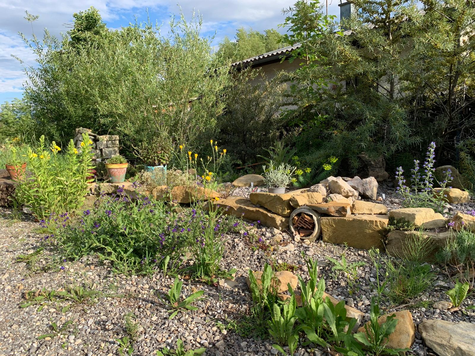 Garten 9 – Benjeshecke